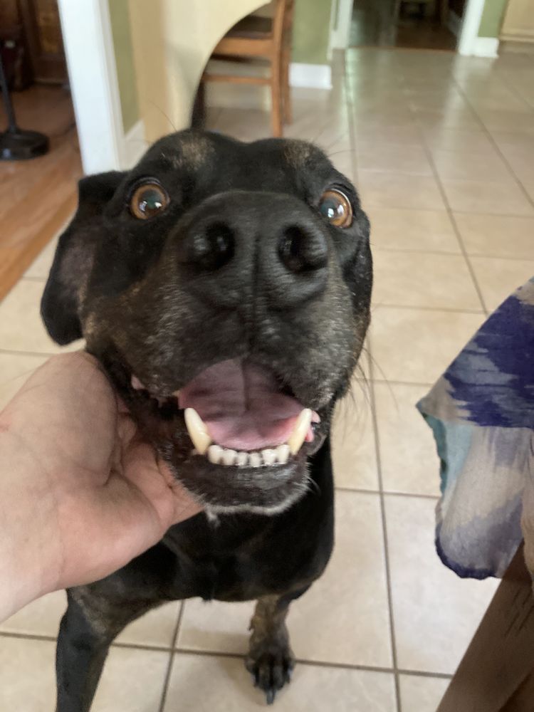 Stanley Z.'s profile image