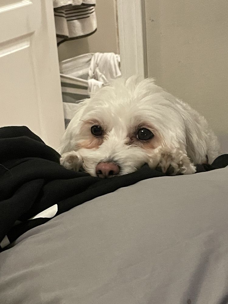 Nate H.'s profile image