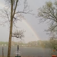 Terri Schmidt's profile image