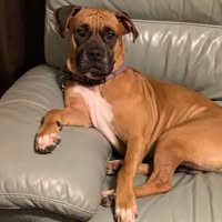 Katelyn Renee Patterson Denton's profile image