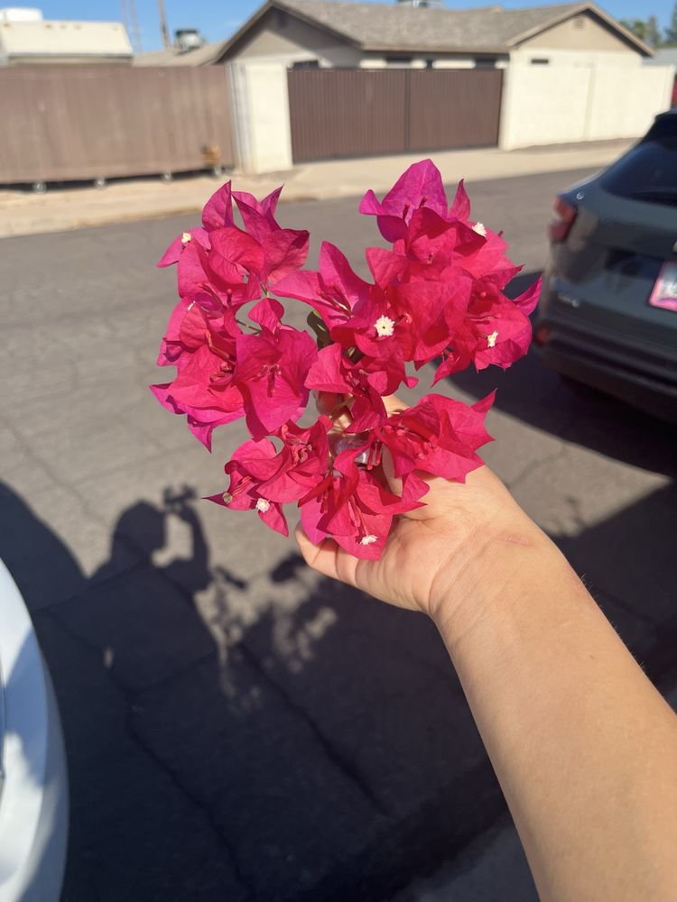 Abby B.'s profile image