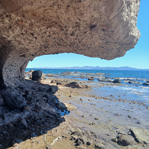 Johanna Bell's profile image