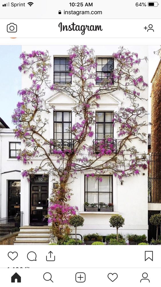 Chris L.'s profile image