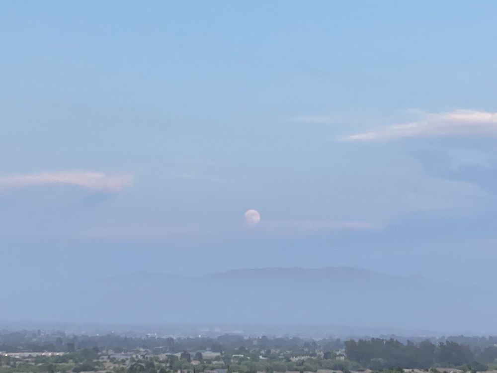 Anne M.'s profile image