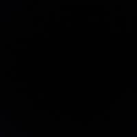 Trish Kiewiet's profile image