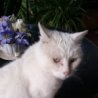 Missy Nanna's profile image