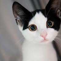 Susan Evans's profile image