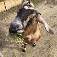 Shaun Casey's profile image