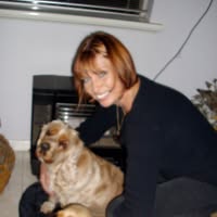 Lyn Henwood's profile image