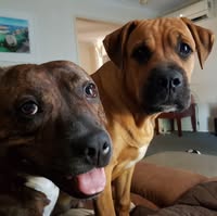 Ann Kelsey's profile image