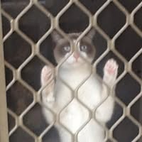 Mark Hanley's profile image