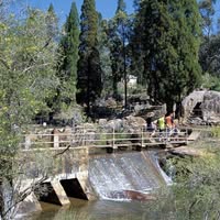 Tahnee Robbins's profile image