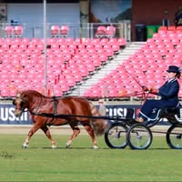 Liza Doney's profile image