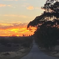 Kylee Corica's profile image