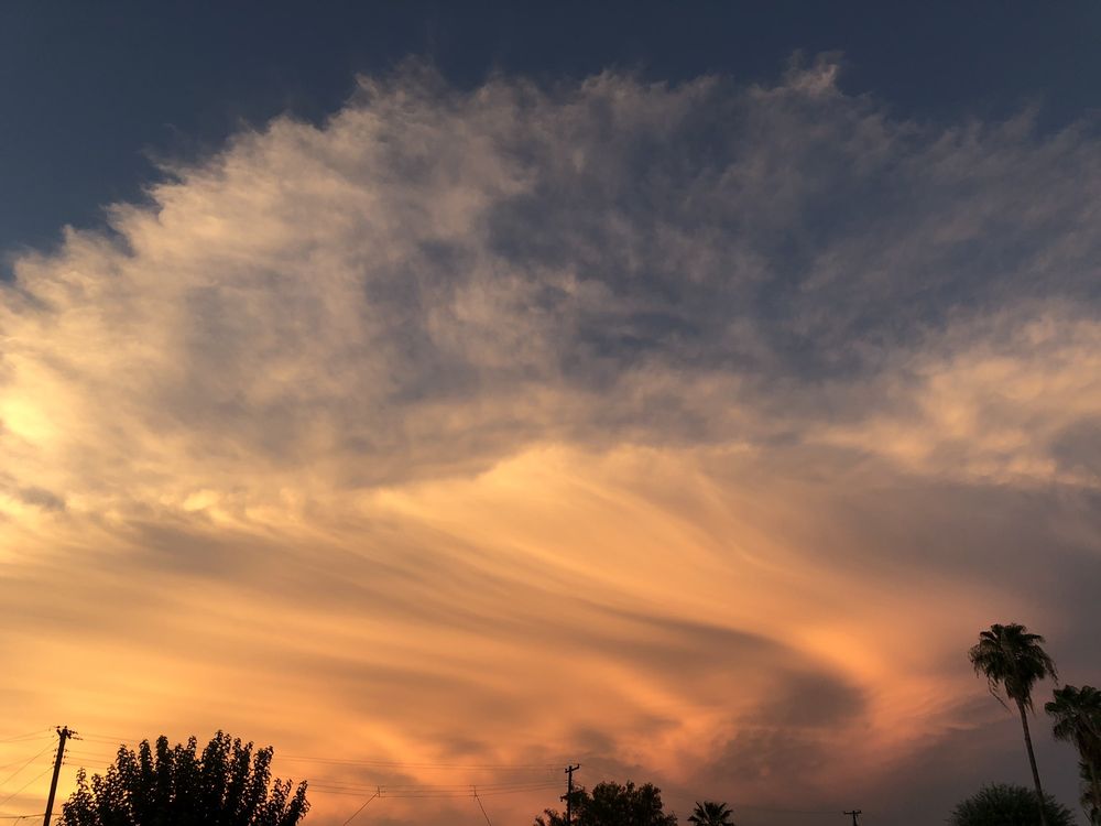 Den O.'s profile image