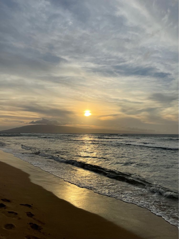 Haley C.'s profile image