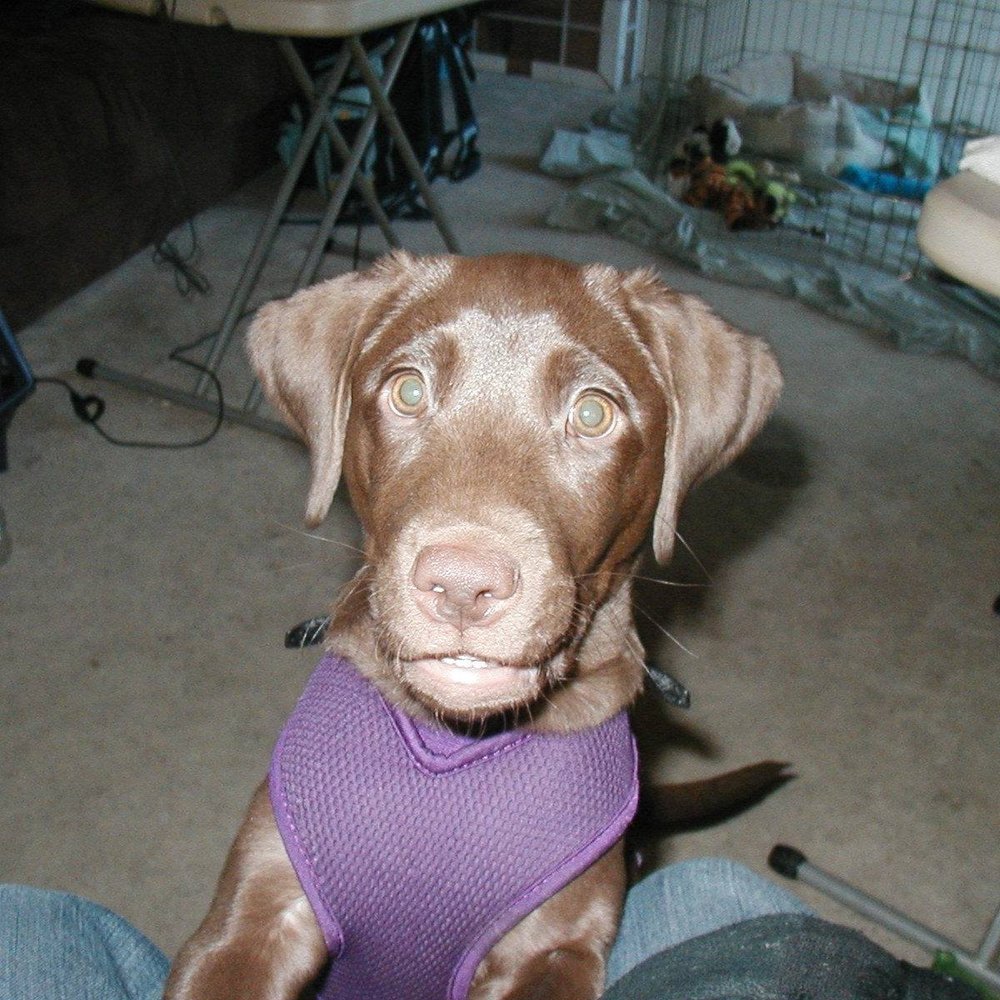 Mark K.'s profile image