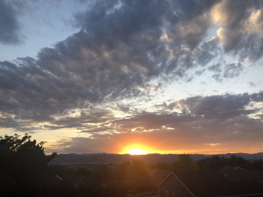 Kelly D.'s profile image