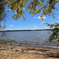 Lori Kilmer's profile image