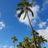 Britt Smith's profile image