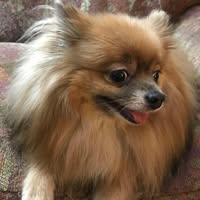 Beverly A Roberts's profile image