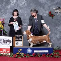 Debbi York Martin's profile image