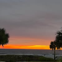 Patsy Bly Briley's profile image