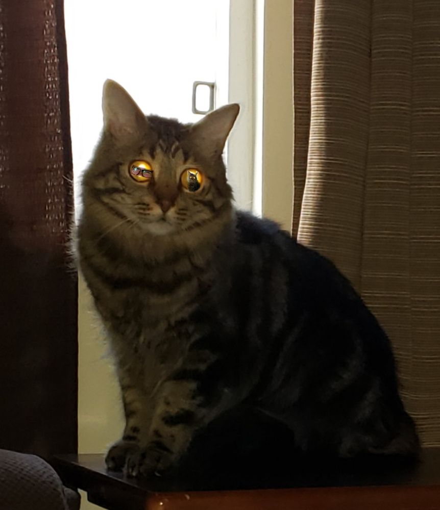 Lupe K.'s profile image