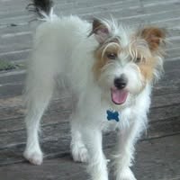 Charis Loren's profile image