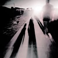 Meredith Tucker's profile image