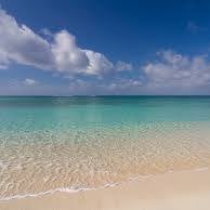 Danielle L.'s profile image