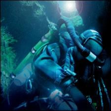 Leon P.'s profile image