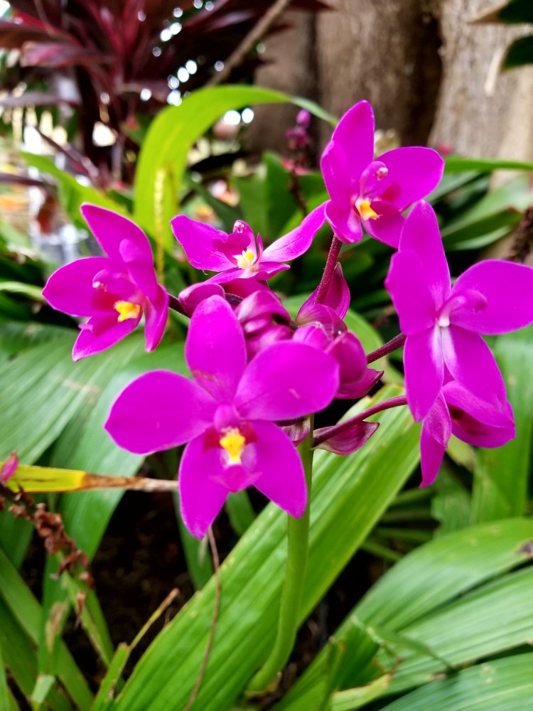 C K.'s profile image