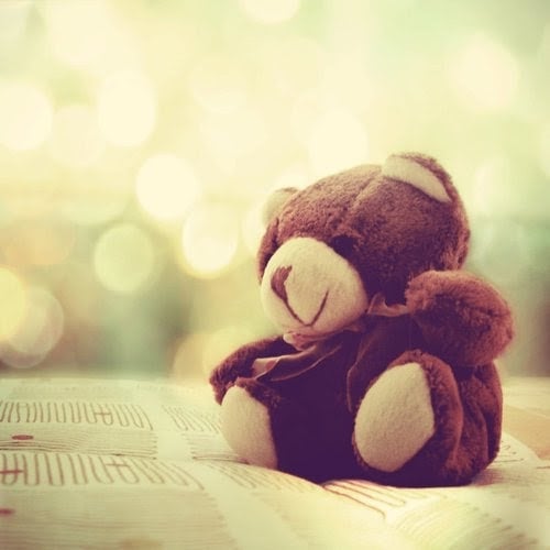 S Y.'s profile image