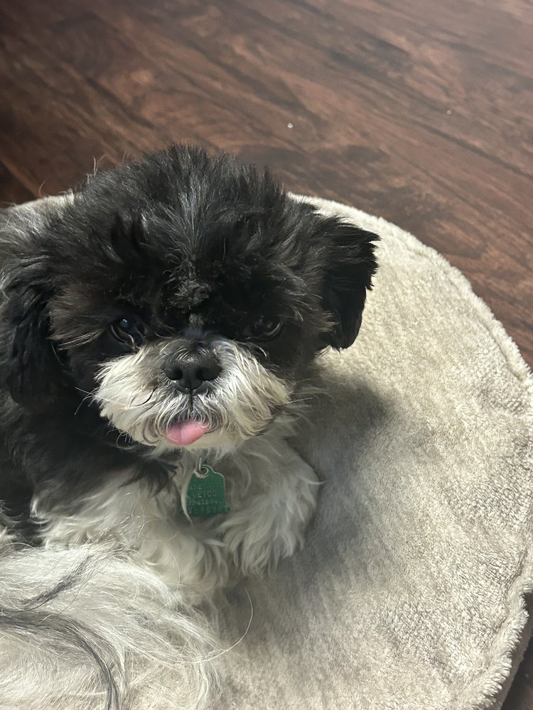 Ayla S.'s profile image