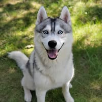 Chuck Daly's profile image