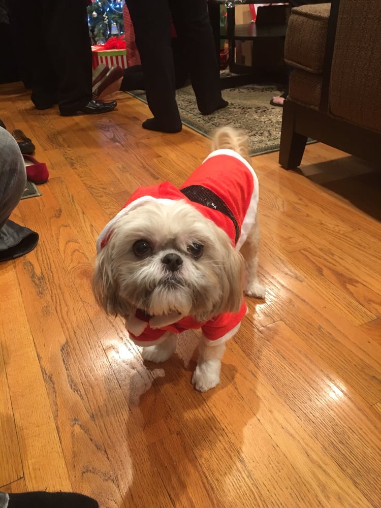 Scarlet E.'s profile image