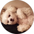 Profile Photo of Anita Lighter
