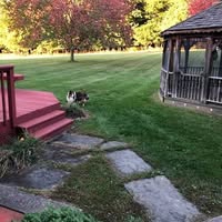 Stacey Bucha's profile image