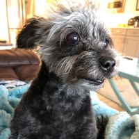 Mary Dansicker's profile image