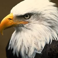 John Otte's profile image