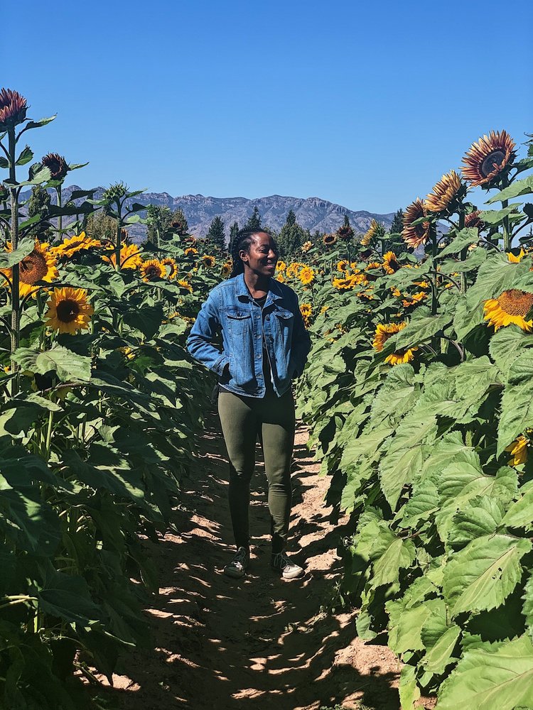 Lauren C.'s profile image