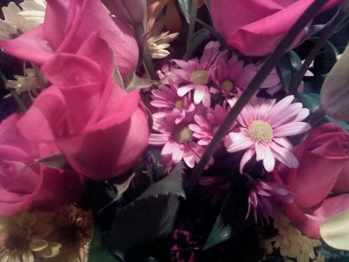 Lisa B.'s profile image