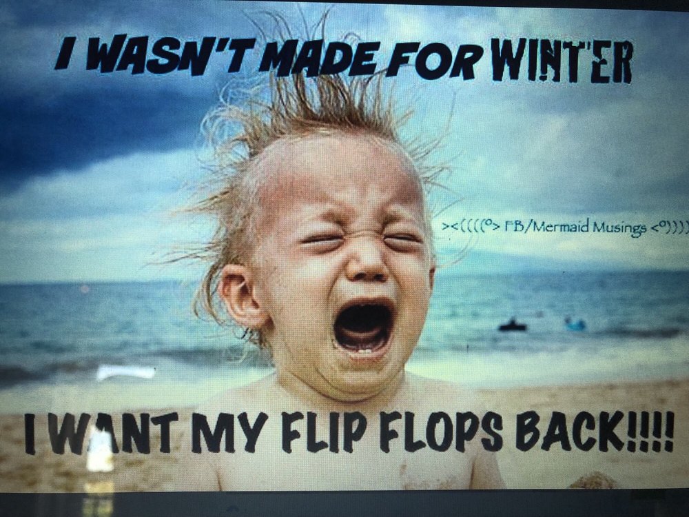 Daniel T.'s profile image