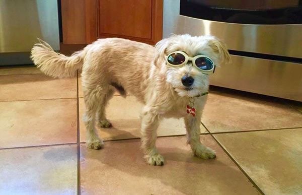 Nick M.'s profile image