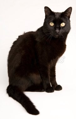 xavier r.'s profile image