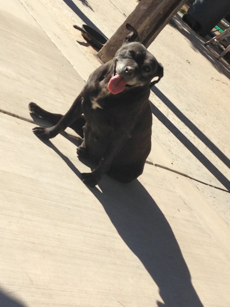 Hm132 M.'s profile image