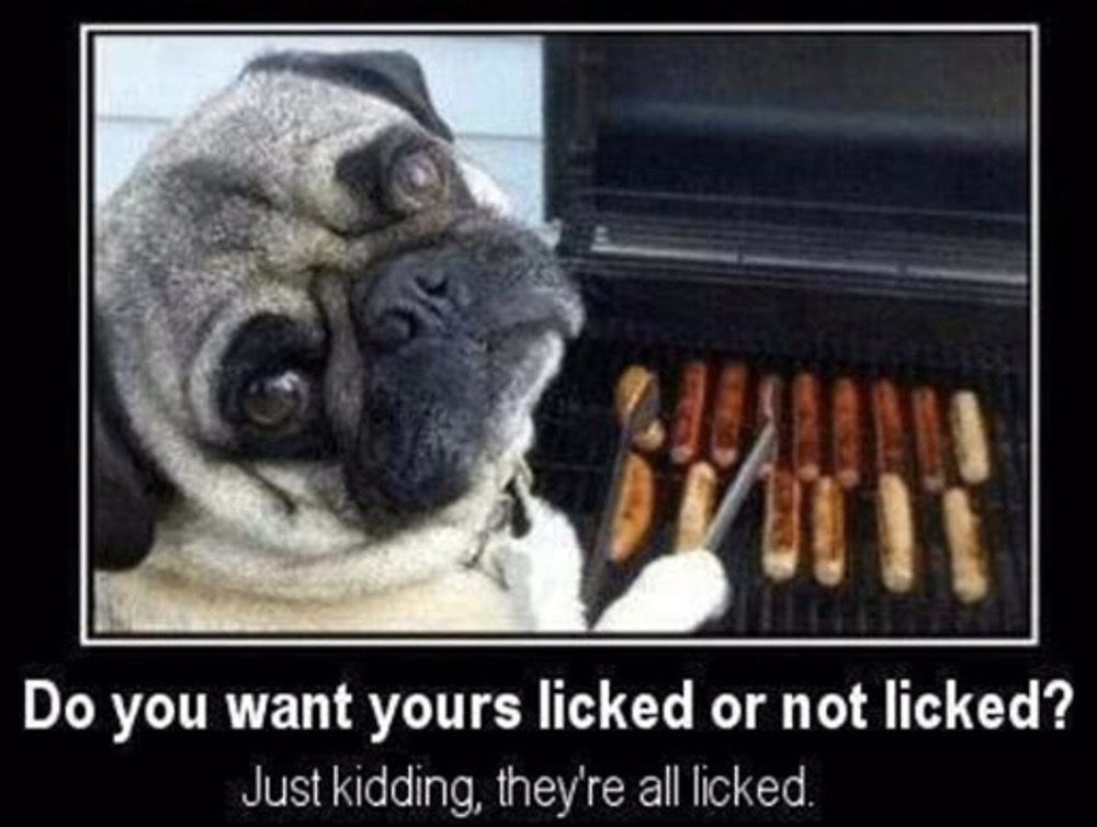 David B.'s profile image