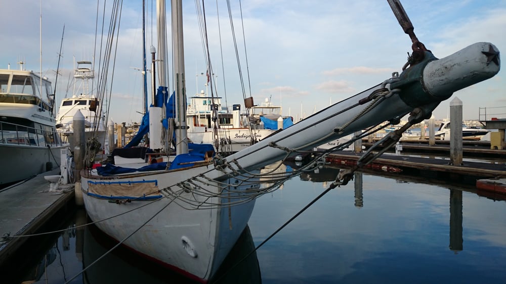 Phillip S.'s profile image