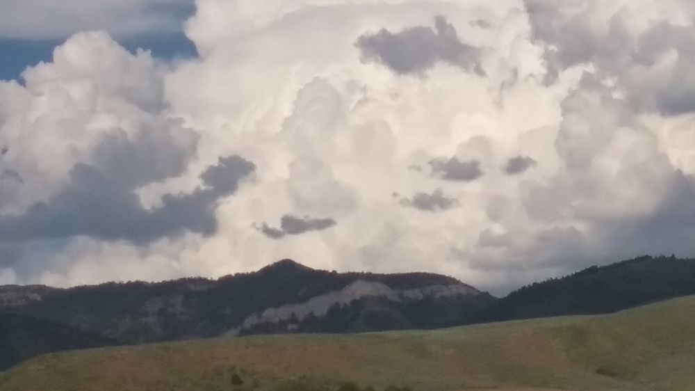 Ashley C.'s profile image